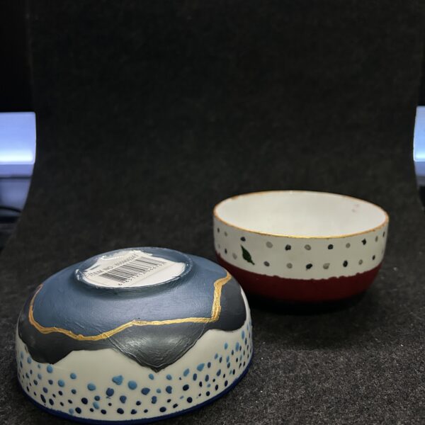 The Dei Centre - Color Cove event 6